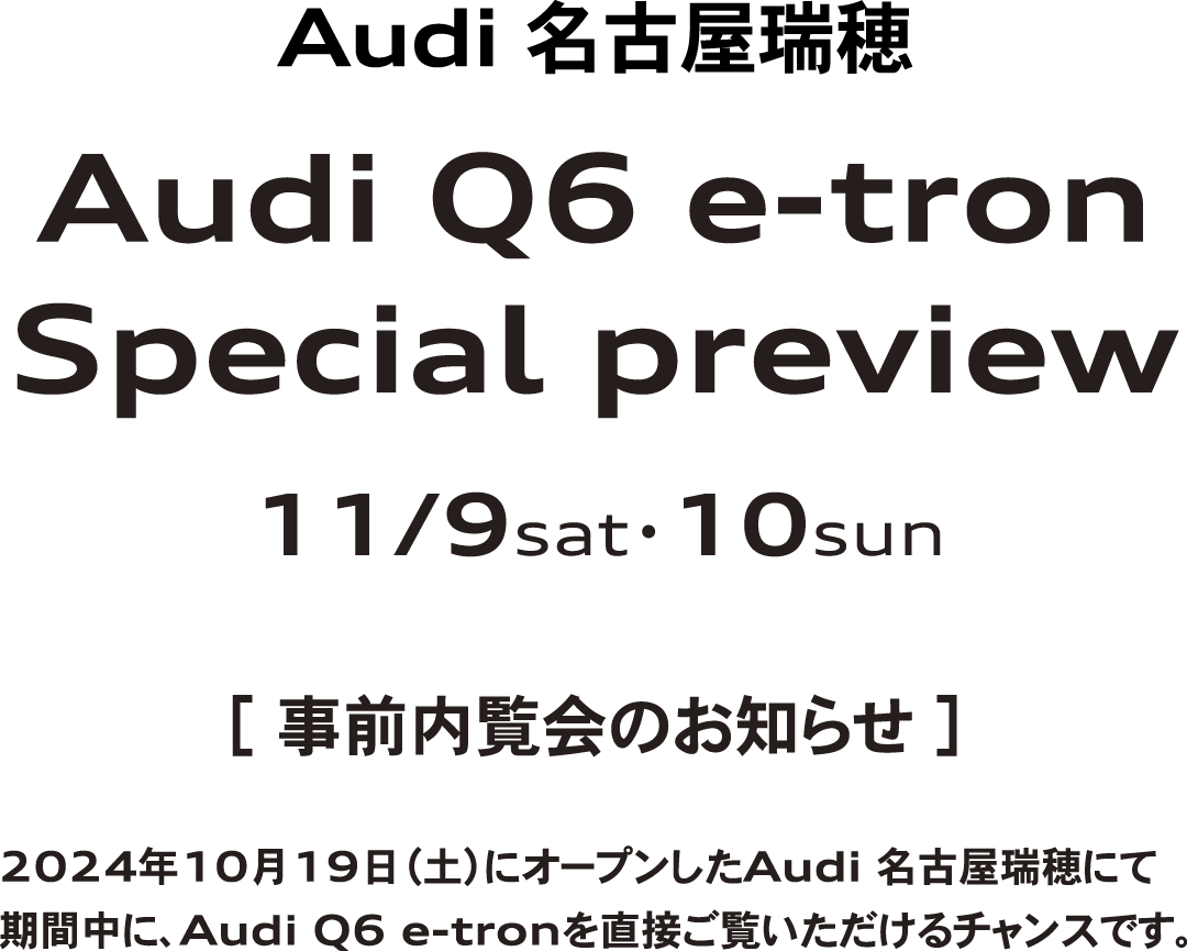 Audi Q6 e-tron Special preview